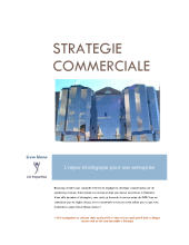 couverteur Livre blanc de la strategie commerciale